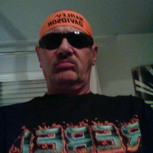 Meet your Posher, Donald